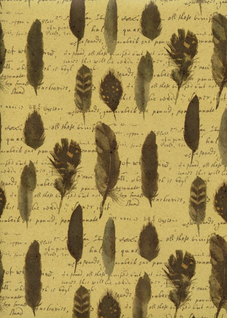 Plumes et écritures fond beige (46x70)