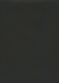 « Unicolore » noir bitume (64x97)
