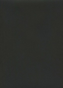 « Unicolore » noir bitume (64x97)