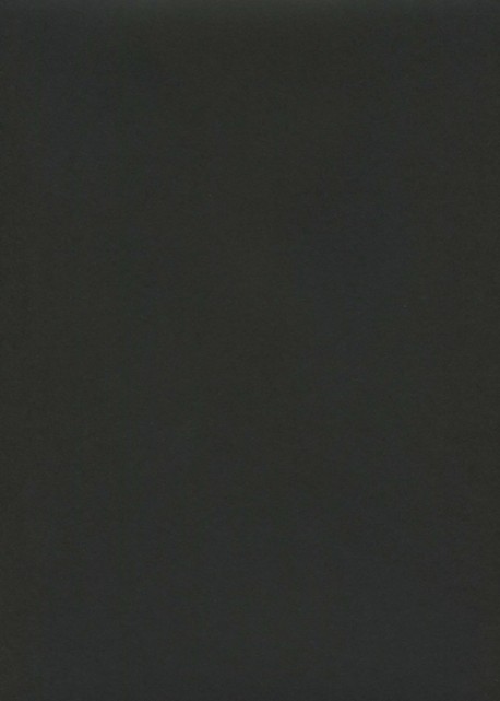 « Unicolore » noir bitume (64x97)