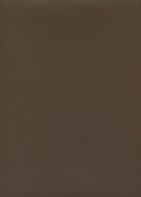 « Unicolore » cacao (64x97)