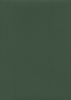 « Unicolore » vert pays basque (64x97)