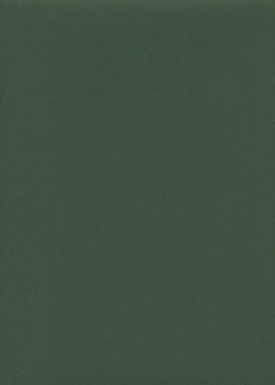 « Unicolore » vert pays basque (64x97)