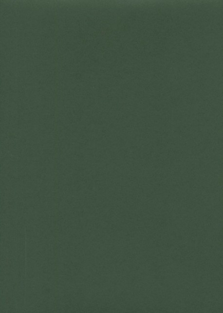« Unicolore » vert pays basque (64x97)