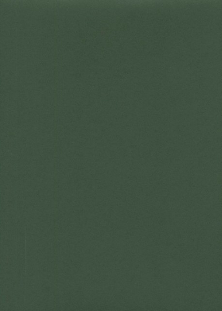 « Unicolore » vert pays basque (64x97)