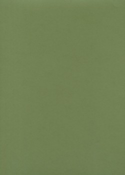 « Unicolore » vert tilleul (64x97)
