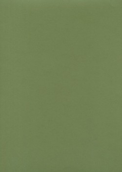 « Unicolore » vert tilleul (64x97)
