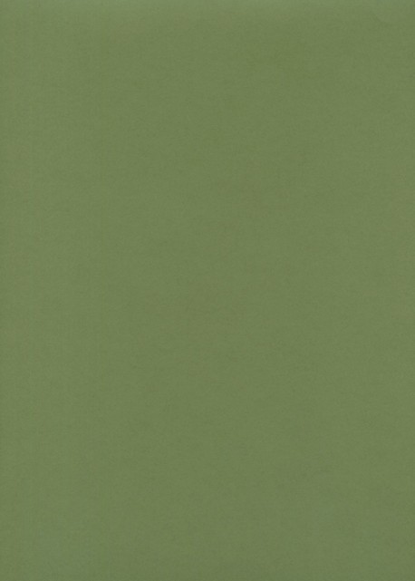 « Unicolore » vert tilleul (64x97)