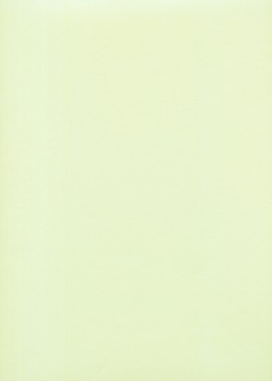 « Unicolore » tendrement vert (64x97)
