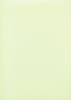 « Unicolore » tendrement vert (64x97)