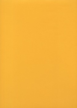 « Unicolore » jaune soleil (64x97)