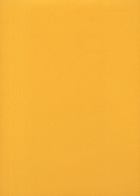 « Unicolore » jaune soleil (64x97)