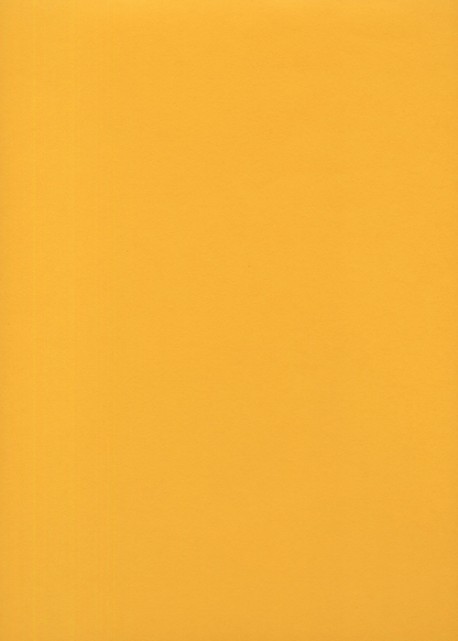 « Unicolore » jaune soleil (64x97)