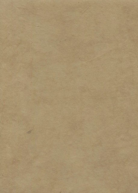 Papier lokta beige (50x75)