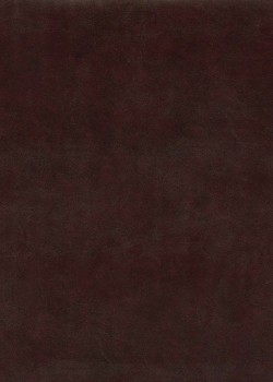 Papier imitation cuir "lisse" bordeaux (50X65)