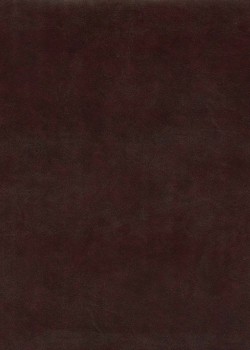 Papier imitation cuir "lisse" bordeaux (50X65)