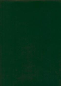 Simili cuir "effet lisse" vert (70x106)