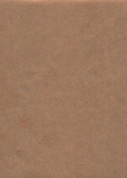 Papier lokta cuivre (50x75)