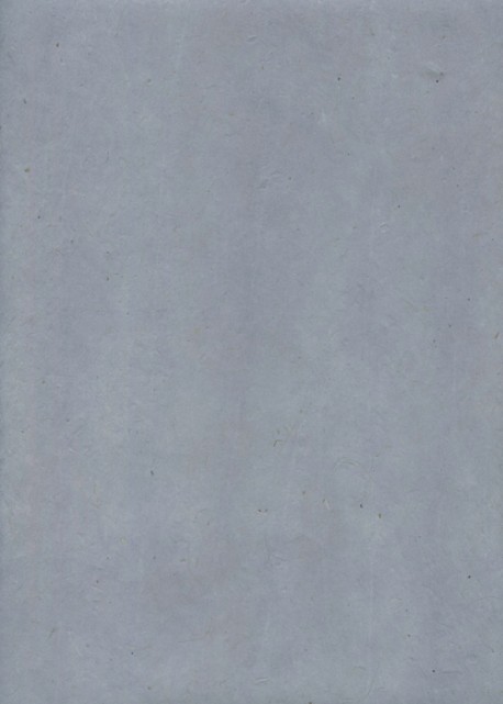 Papier lokta parme (51x77)