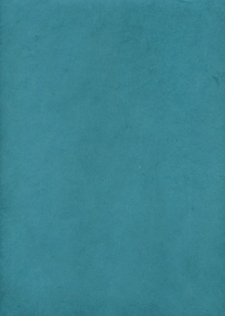 Papier lokta turquoise (51x77)