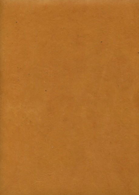 Papier lokta jaune moutarde (51x77)