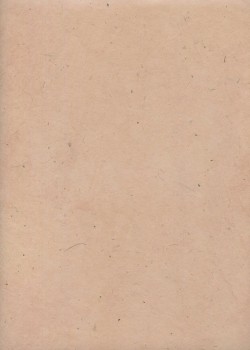 Papier lokta rose poudré (51x77)