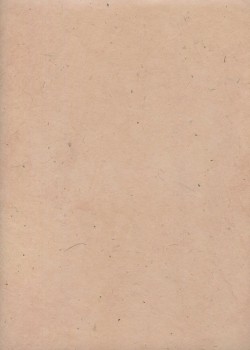 Papier lokta rose poudré (51x77)