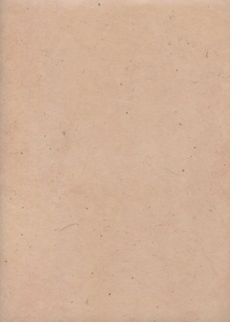 Papier lokta rose poudré (51x77)