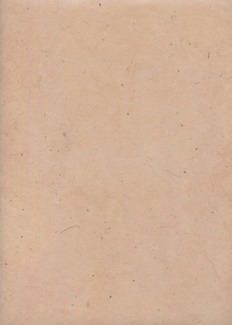 Papier lokta rose poudré (51x77)