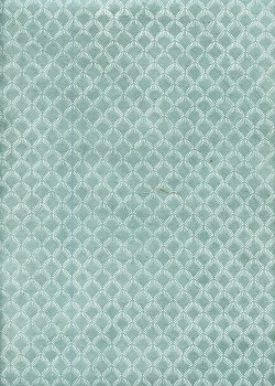 Papier lokta dome blanc fond bleu grisé (51x76)