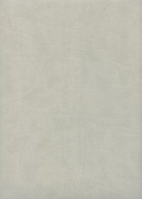 Simili cuir "Buffle lisse" (70x97) perle