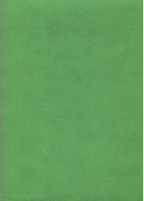 Simili cuir "Buffle lisse" (40x71) vert