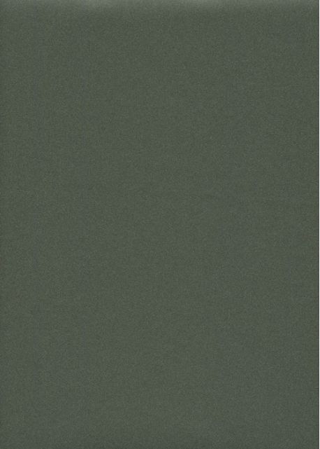 Simili cuir "Ariane" vert anglais (70x100)