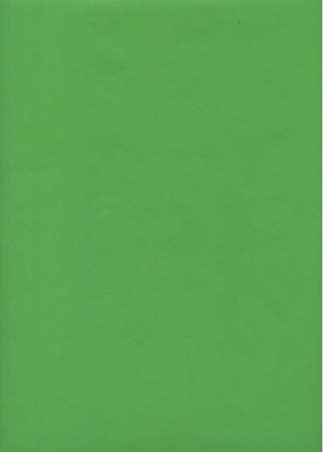 Simili cuir "effet lisse" (50x50) pomme