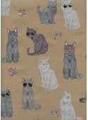 La team chat fond beige (68x98)