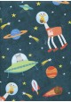 Les animaux de l'espace (68,5x98)