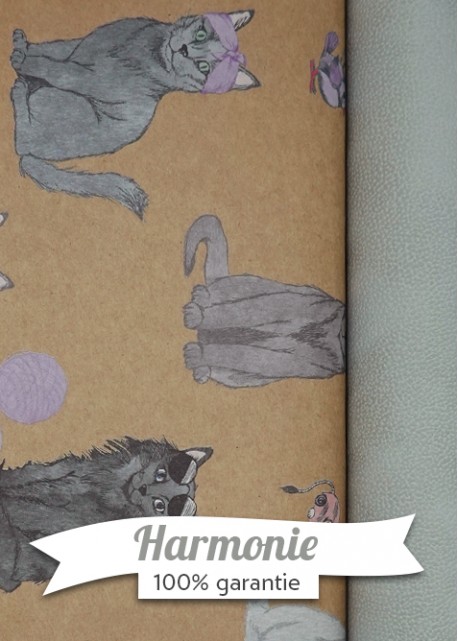 HARMONIE DUO la team chat ambiance gris clair