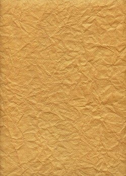 Froissé or pâle (50x70)