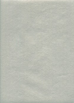 Papier indien argent (50x70)