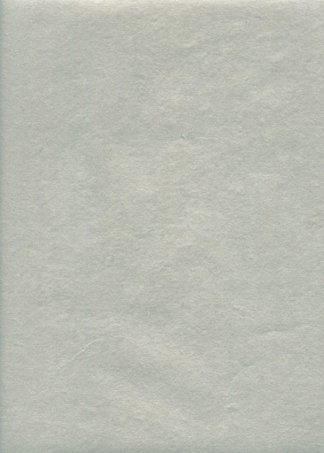 Papier indien argent (50x70)