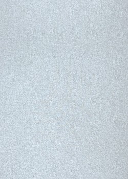 Toiles "Vénitiennes" argent (50x66)