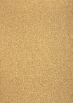 Toiles "Vénitiennes" doré (50x66)