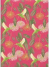 Les colibris vert anis fond fuschia (50x70)
