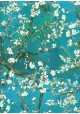 Branches d'amandiers en fleurs fond turquoise (50x70)