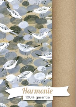 HARMONIE DUO les bécasseaux fond beige