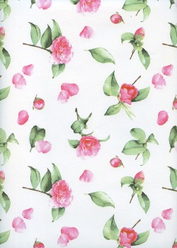 "Botanica" les roses (50x70)