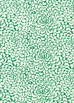 Papier lokta kikou vert fond naturel (50x75)
