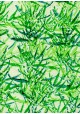 Papier lokta forêt de bambous ambiance verte (50x75)