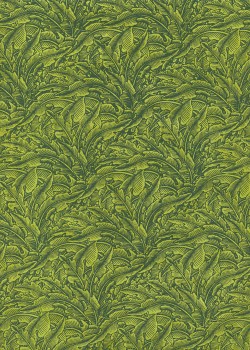 Papier lokta verdure ton vert avocat (50x75)