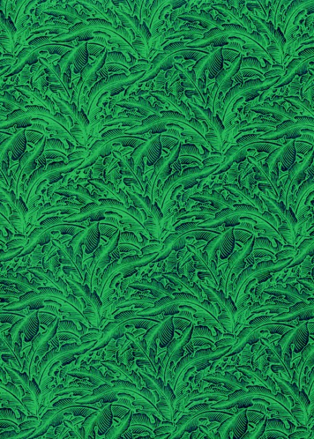 Papier lokta verdure ton vert pré (50x75)